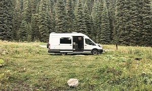 Young Nomad and Her Cat Explore the Country in a Cozy DIY Rig Based on a Ford Transit