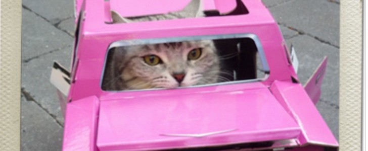 Your Cat Will Want one of These Car-Shaped Cribs 