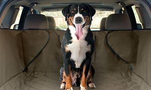 Your SUV’s Higher Trunk is Damaging Your Dog’s Health, Study Finds