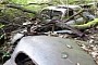 YouTuber Explores Forest Full of Dead Car-Casses, Finds Series 1 Jaguar E-Type
