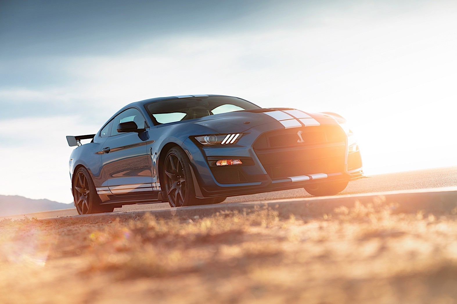 2020 Mustang Shelby GT500 Review - autoevolution