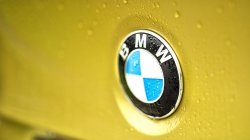 BMW badge on 2015 M4